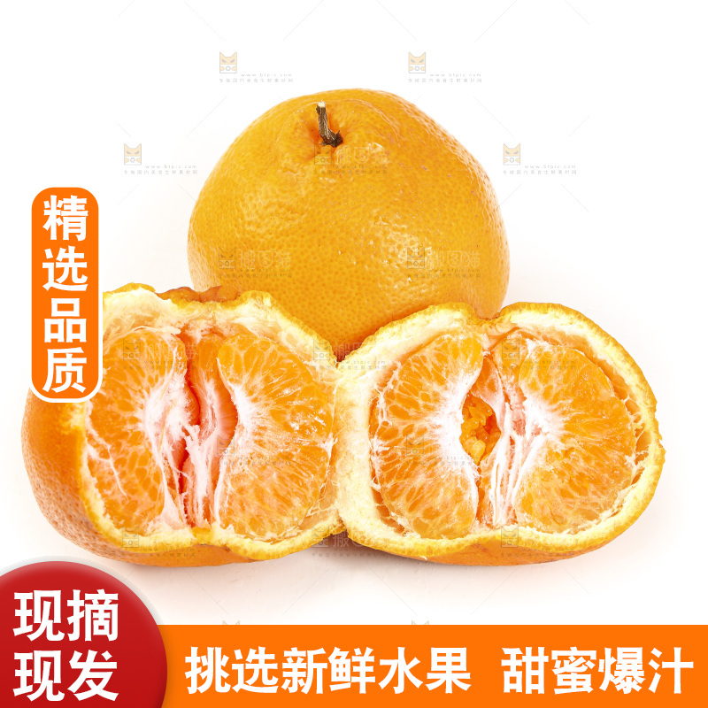 白底上放着一堆春见耙耙柑