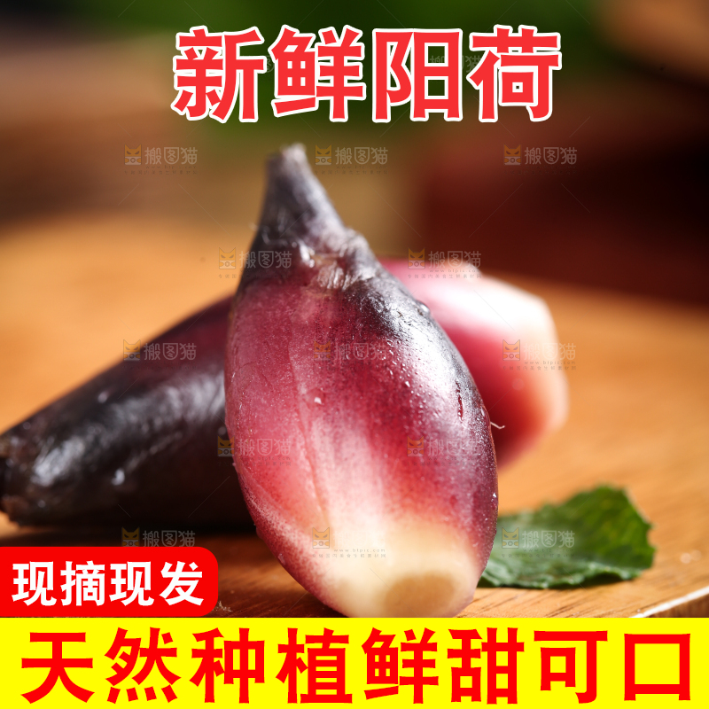 木底上摆放着阳荷姜