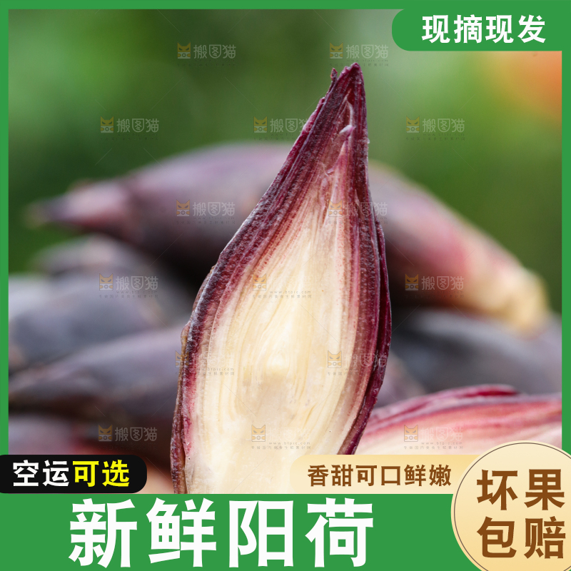 手里拿着洋火姜