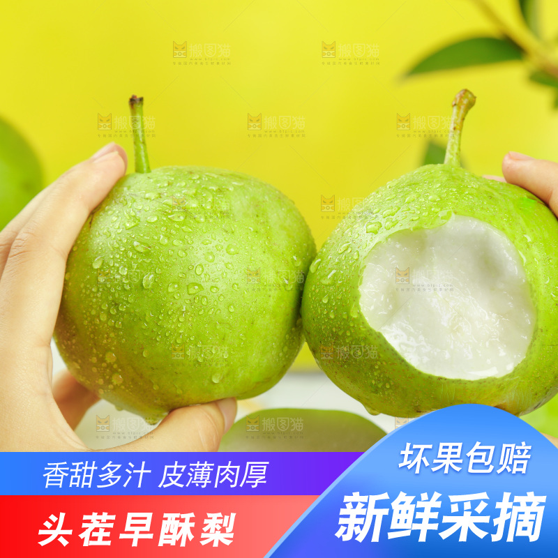 手里拿着新鲜青皮早酥梨