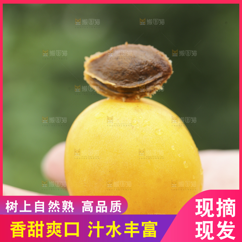 手里拿着小白杏