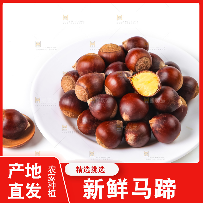 浅底上的马蹄果
