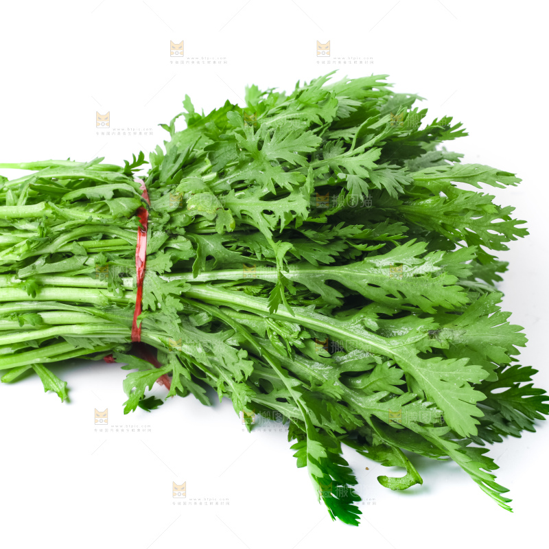 白底上的蓬蒿菜