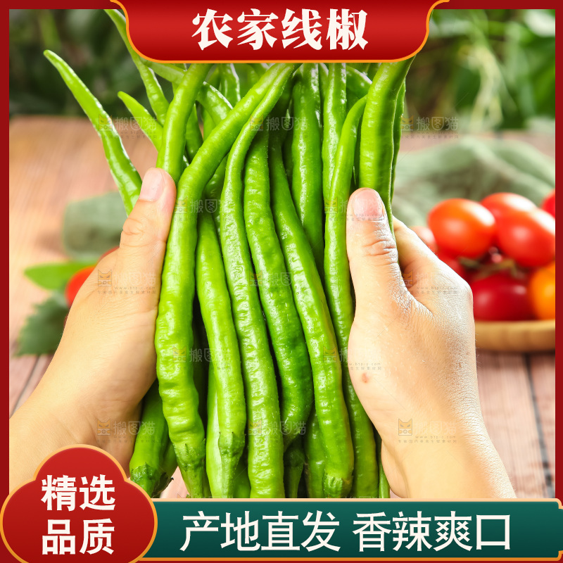 手里拿着一把线椒