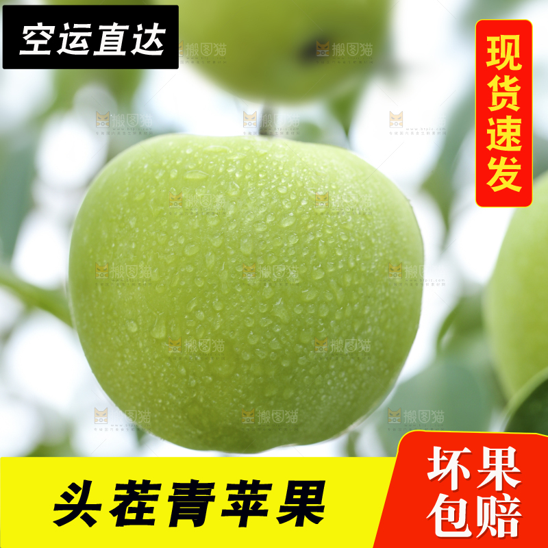树枝上的青苹果