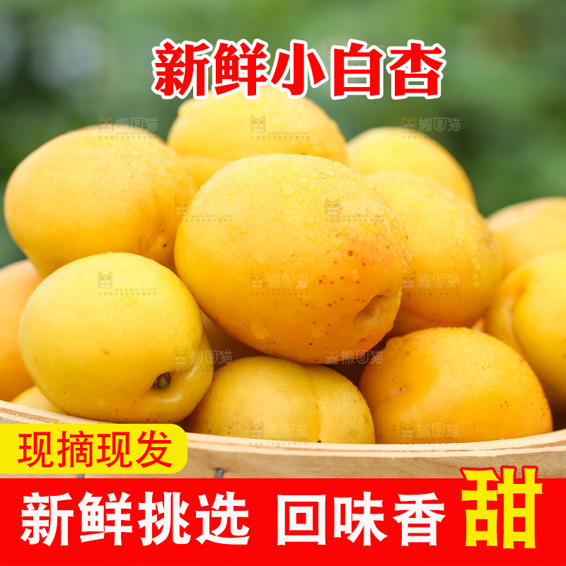 篮子里装着新鲜小白杏