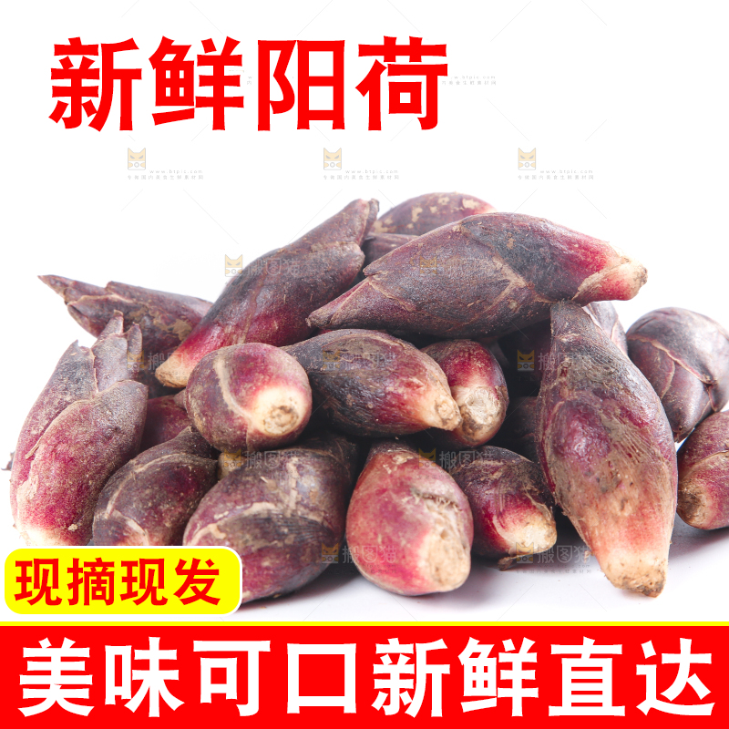 白底上摆放着阳荷姜