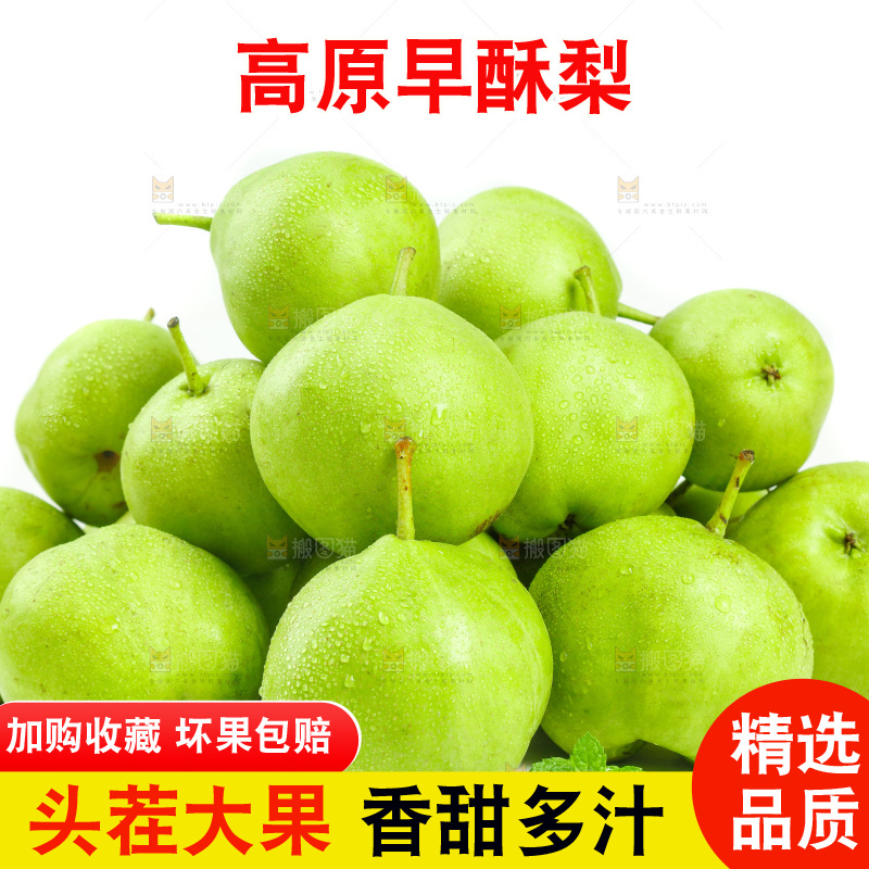 白底上摆放着陕西早酥梨
