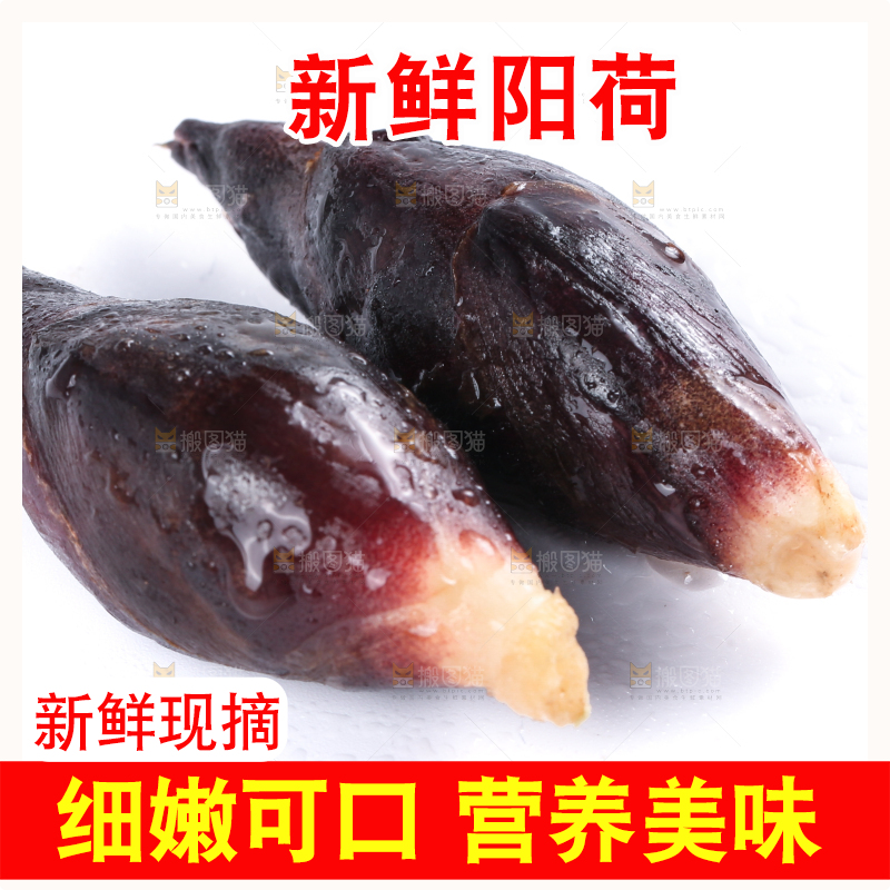 白底上摆放着阳荷姜