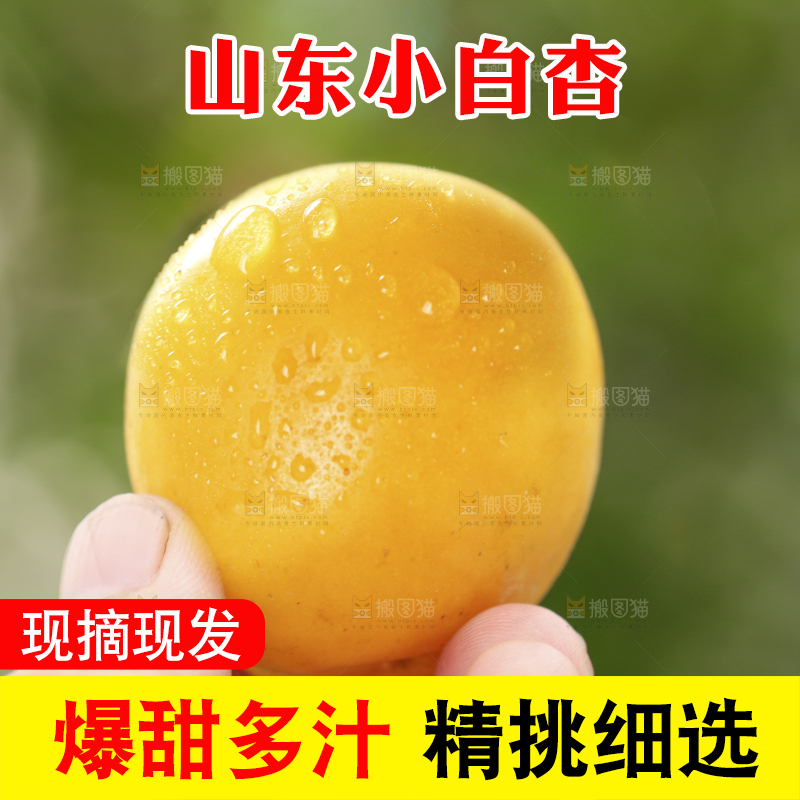手里拿着杏子