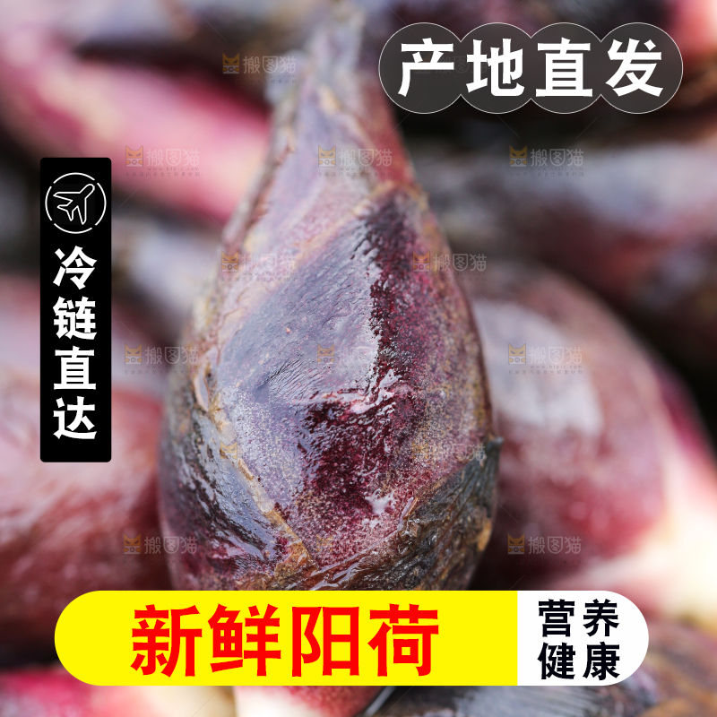 堆放着一堆的阳荷姜