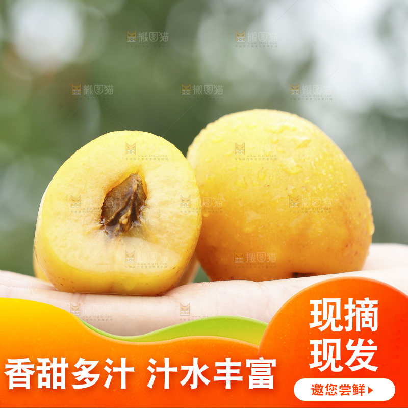 手里拿着小白杏