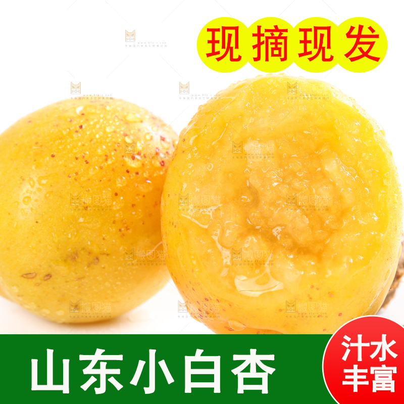 白底上放着白杏