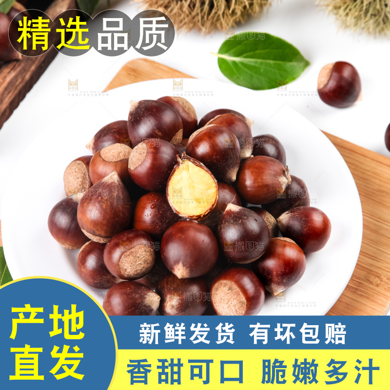 浅底上的马蹄果