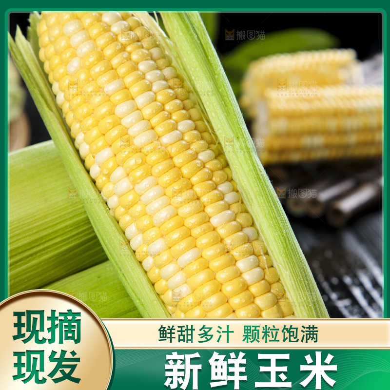 黑底上的云南水果玉米