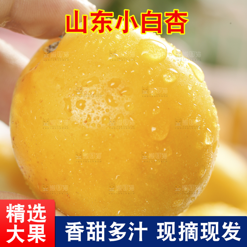 手里拿着杏子