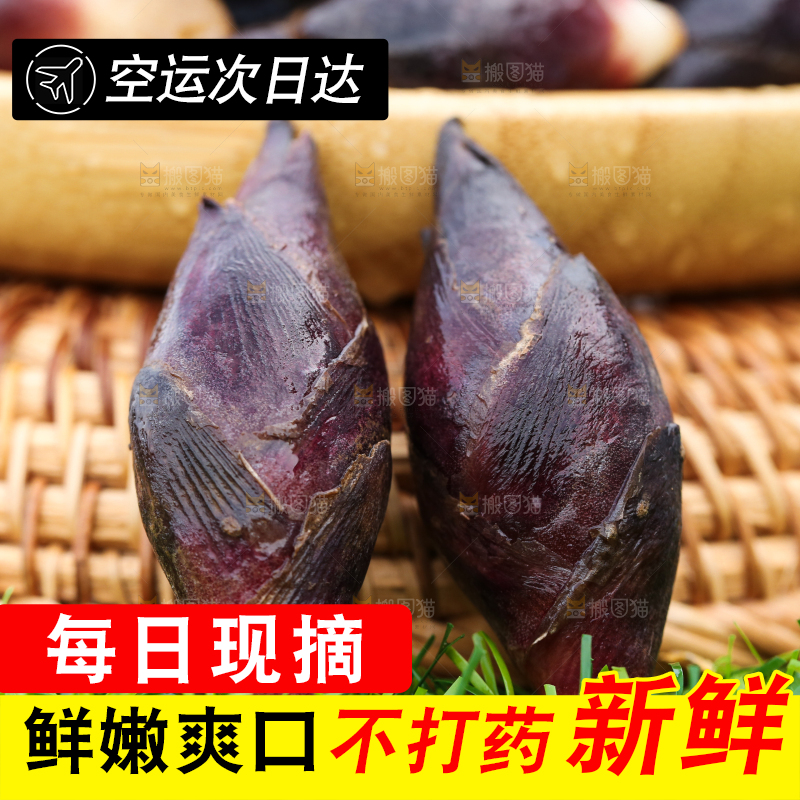 绿草地上摆放着阳荷