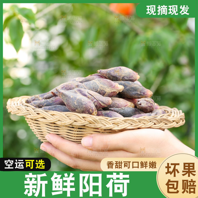 手里端着一篮洋火姜