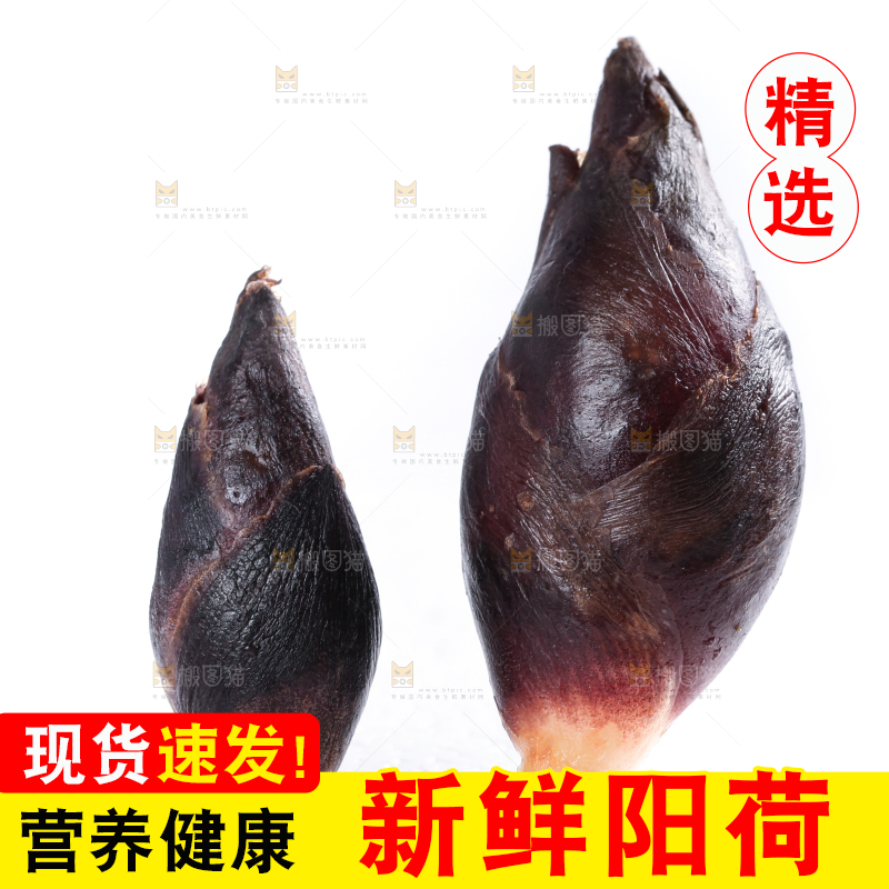 白底上摆放着阳荷姜