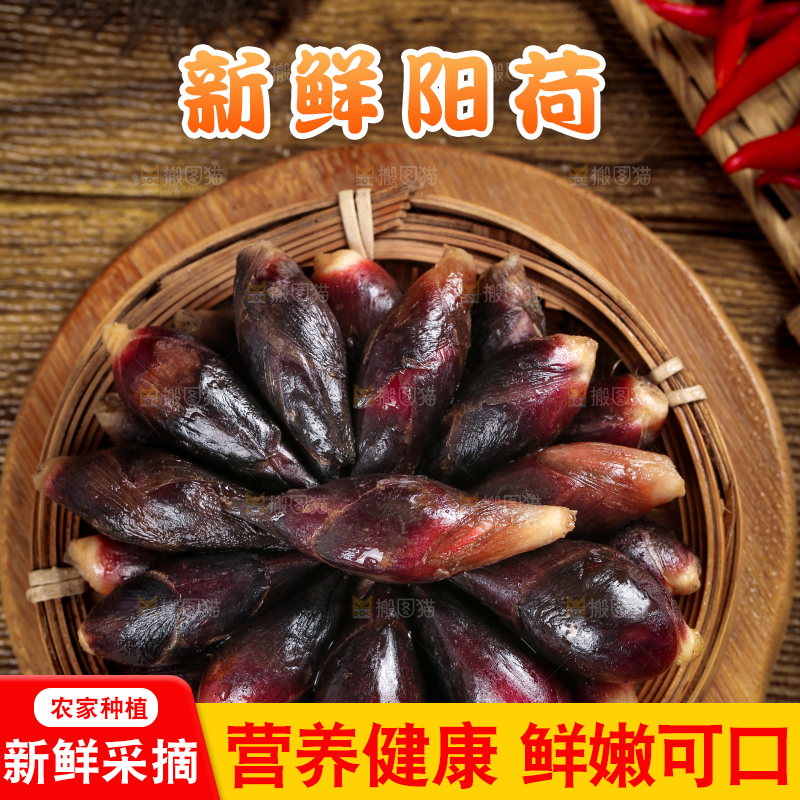 篮子里装着野生阳荷姜
