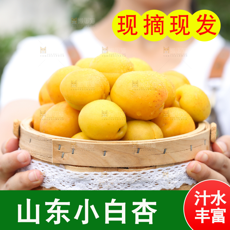 手里拿着一篮库车小白杏