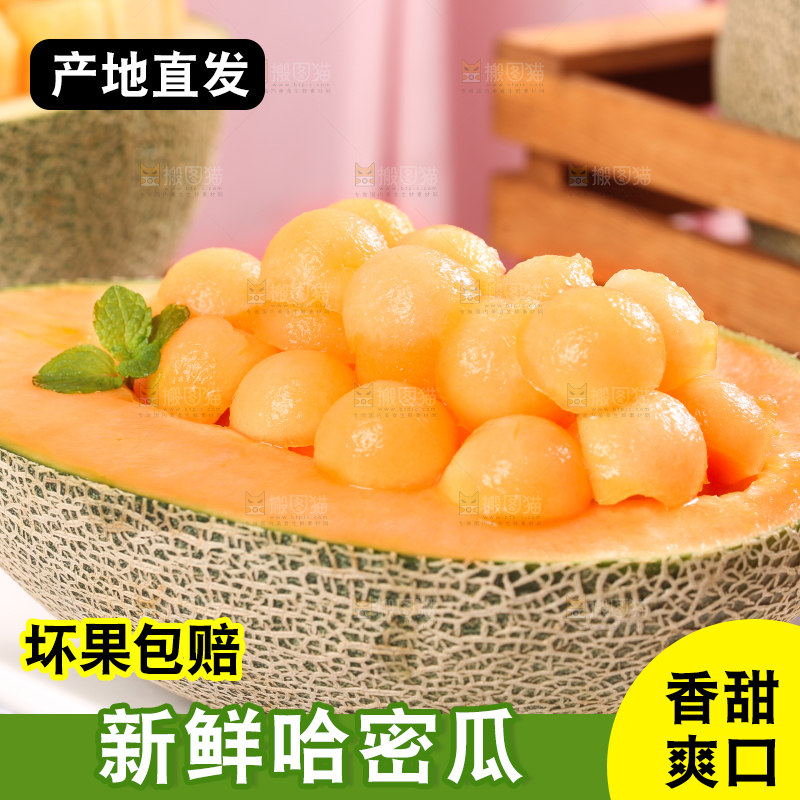 格子底上摆放着网纹瓜