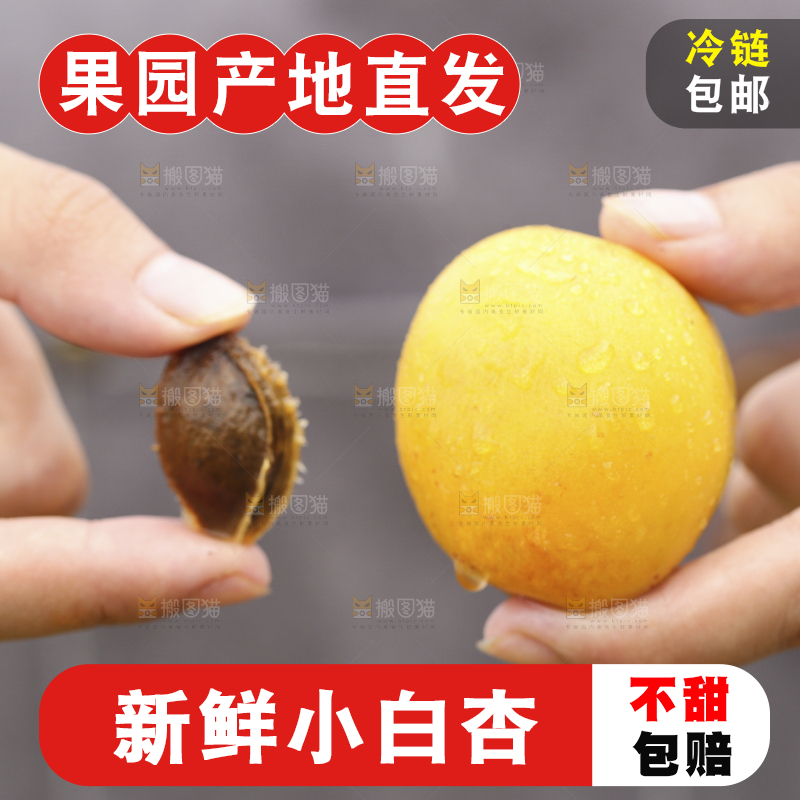 手里拿着小白杏