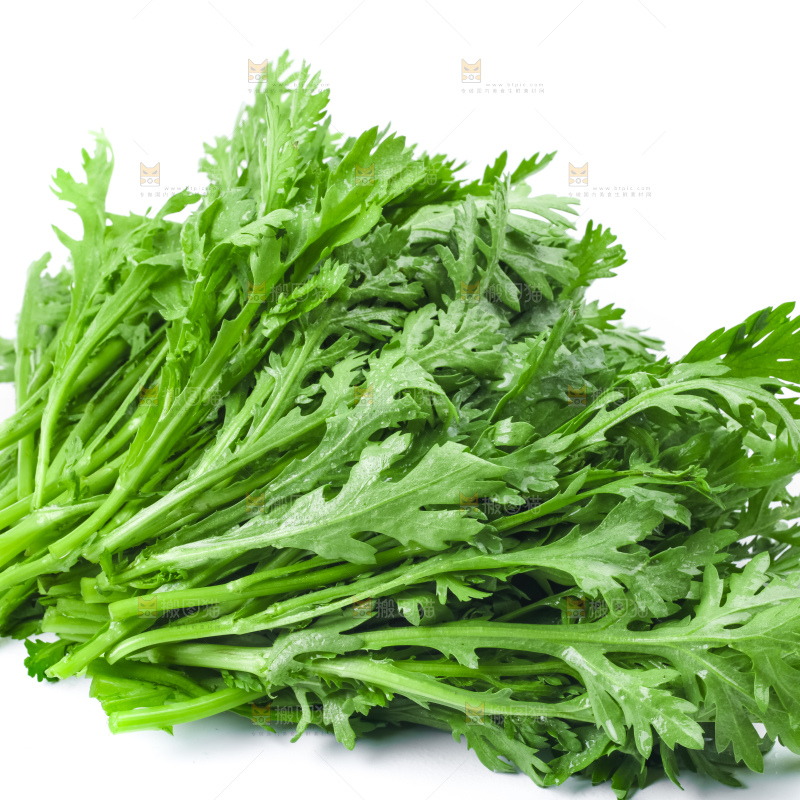 白底上的蓬蒿菜