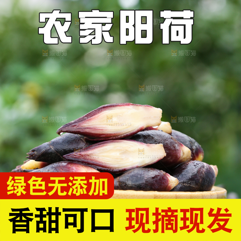 碟子里装着阳荷