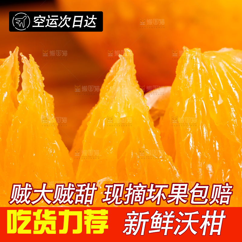 木板上的广西武鸣沃柑