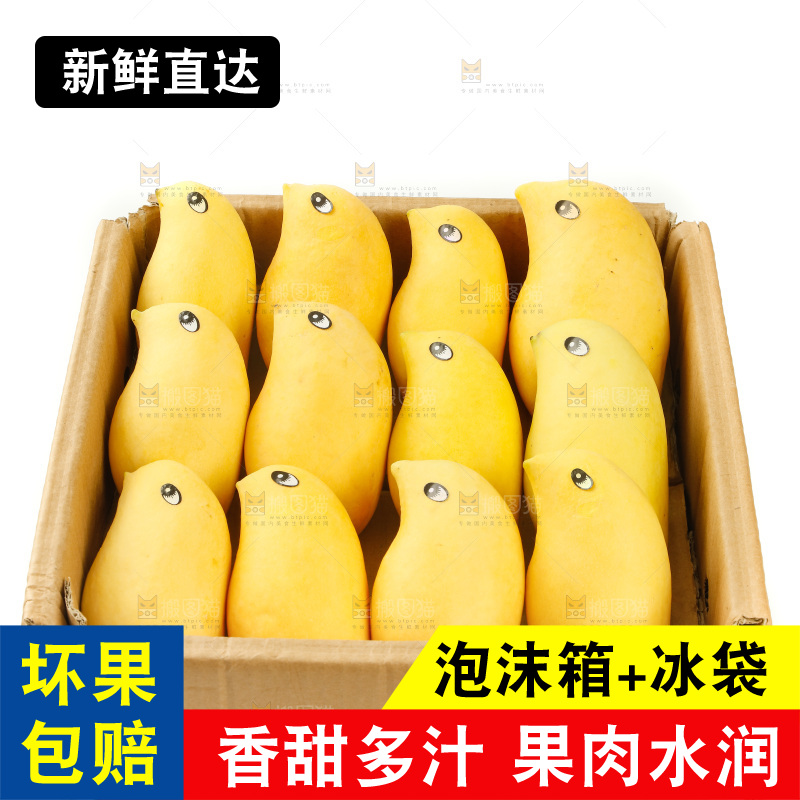 纸箱里装着鹰嘴芒