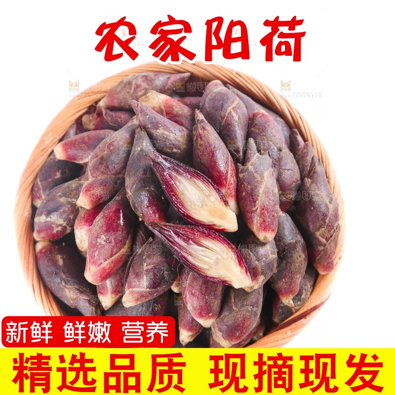 篮子里装着阳荷