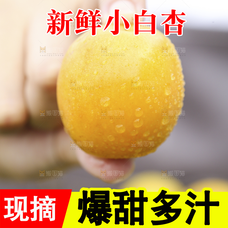 手里拿着小白杏