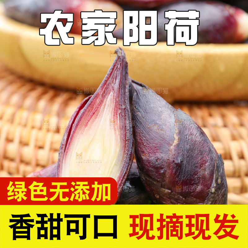 绿草地上摆放着阳荷