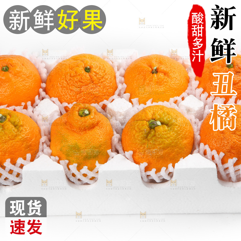 泡沫箱里的丑八怪