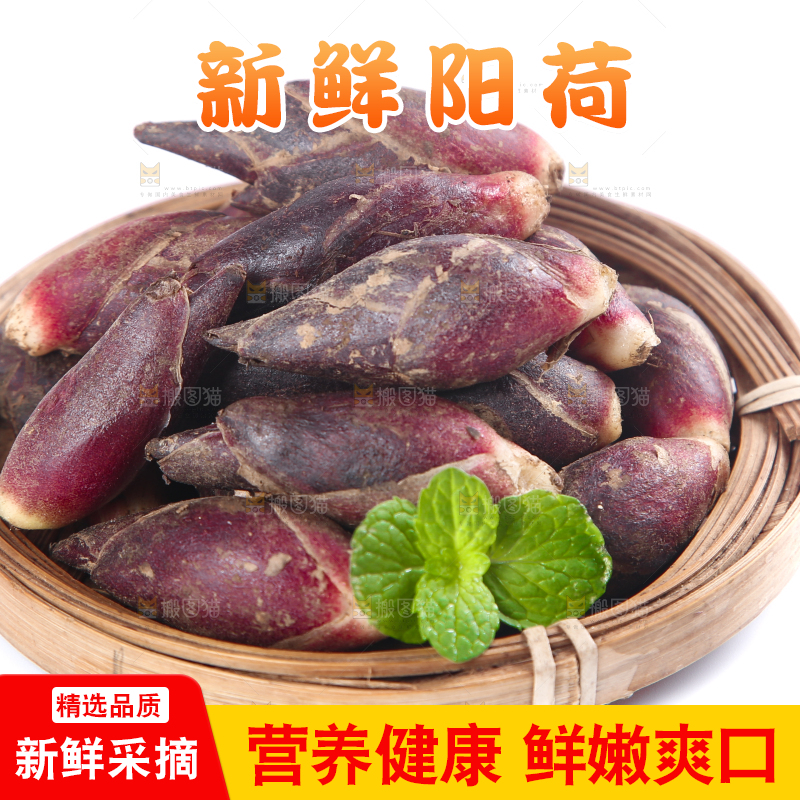 篮子里装着阳荷