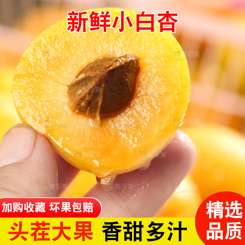 手里拿着小白杏