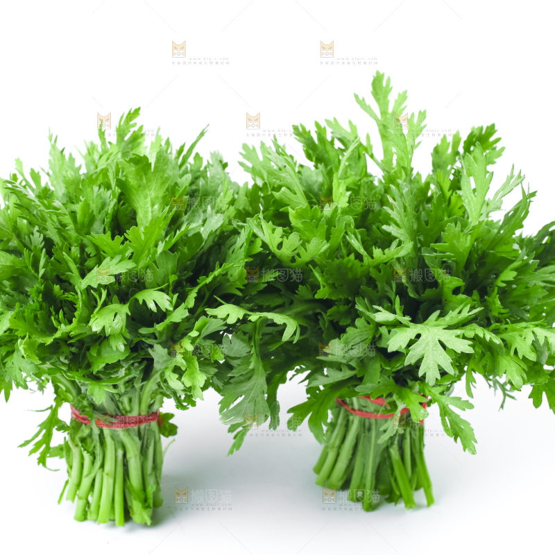 白底上的蓬蒿菜