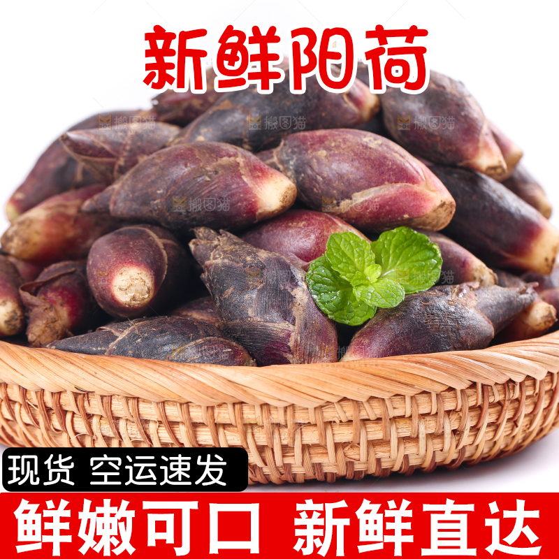篮子里装着阳荷