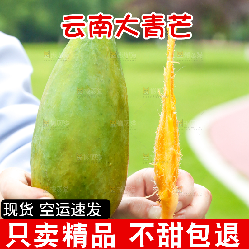 手里拿着青芒
