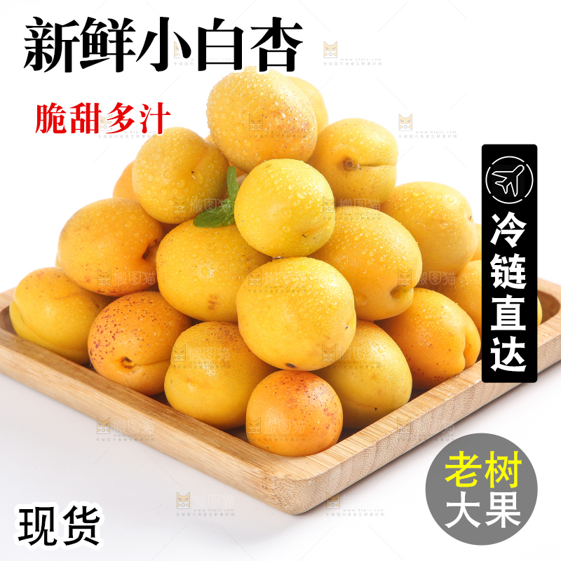 盘子里装着新疆小白杏