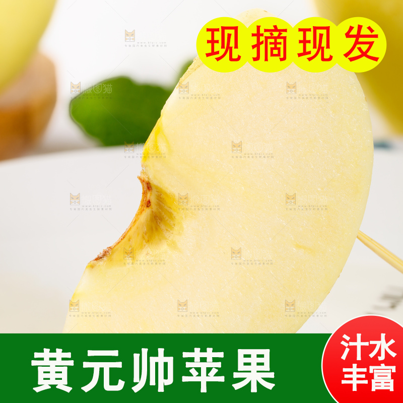 浅底上的烟台黄元帅