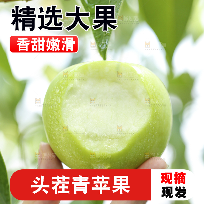 手里拿着陕西青苹果