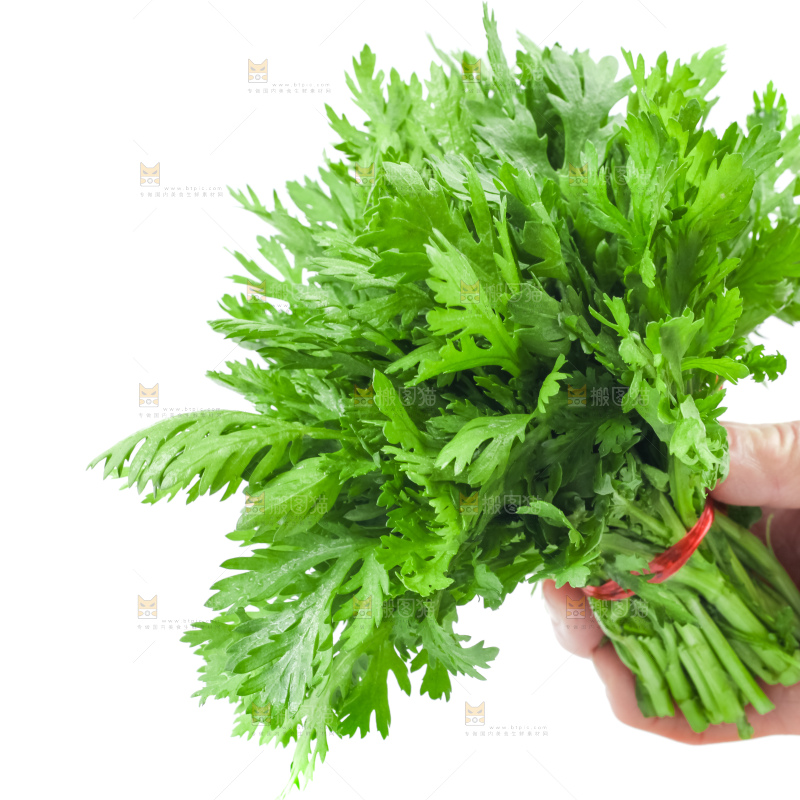 白底上的蓬蒿菜