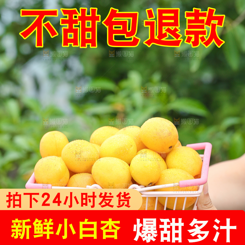 手里拿着一篮小白杏