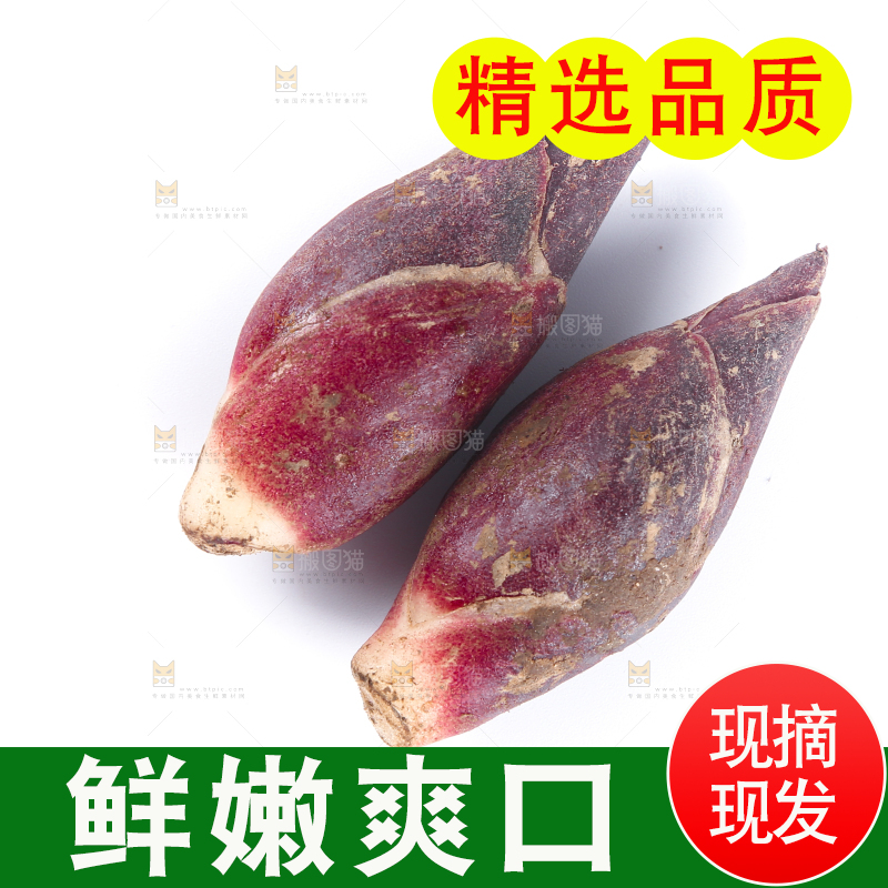 白底上摆放着阳荷姜