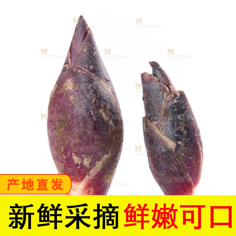 白底上摆放着阳荷姜
