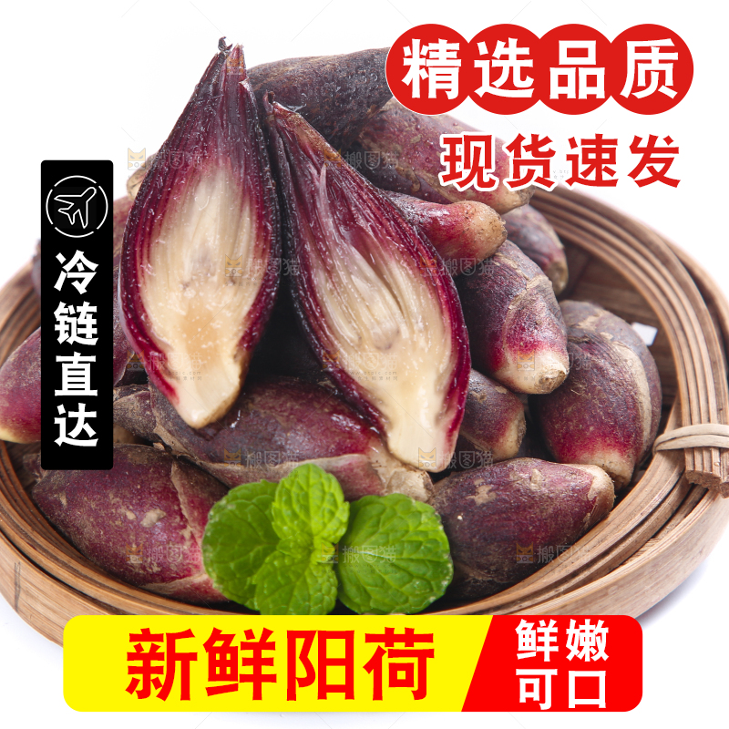 篮子里装着阳荷