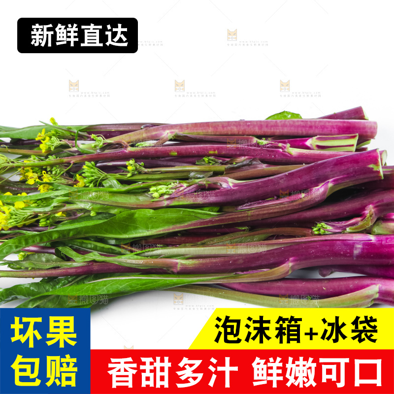 白底上的紫菜苔