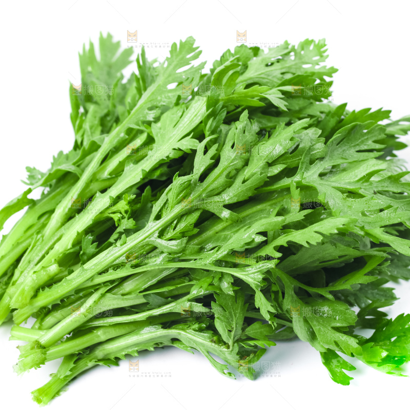 白底上的蓬蒿菜